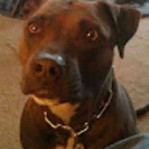 Meet your Posher, Del